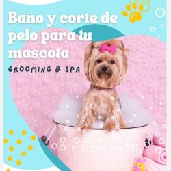 Peluquería Canina 