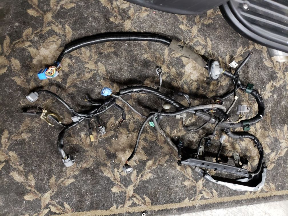 H22 Euro R engine harness for Sale in Los Angeles, CA OfferUp