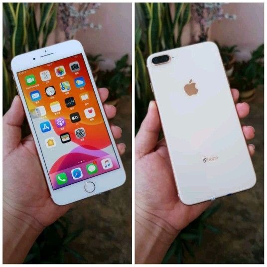 iPhone 8 Plus