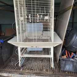 PARA LOS PERIQUITOS COTORROS GUACAMAYAS 