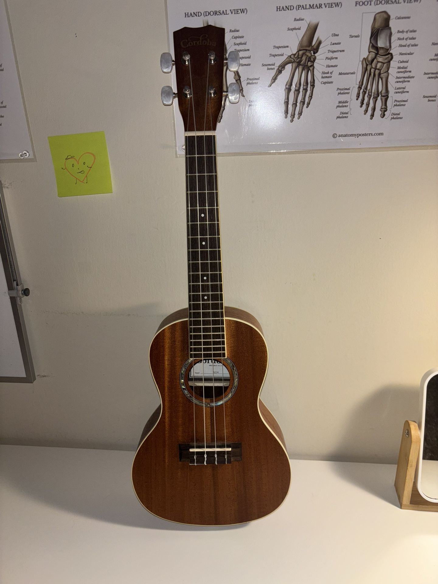 Ukulele