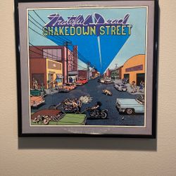 Framed Grateful Dead Shake Down The Street Lp