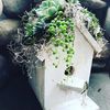 Snohomish Garden Treats