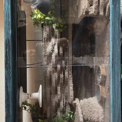Custom Reptile Enclosure 
