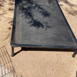 Xl Raised Dog Bed