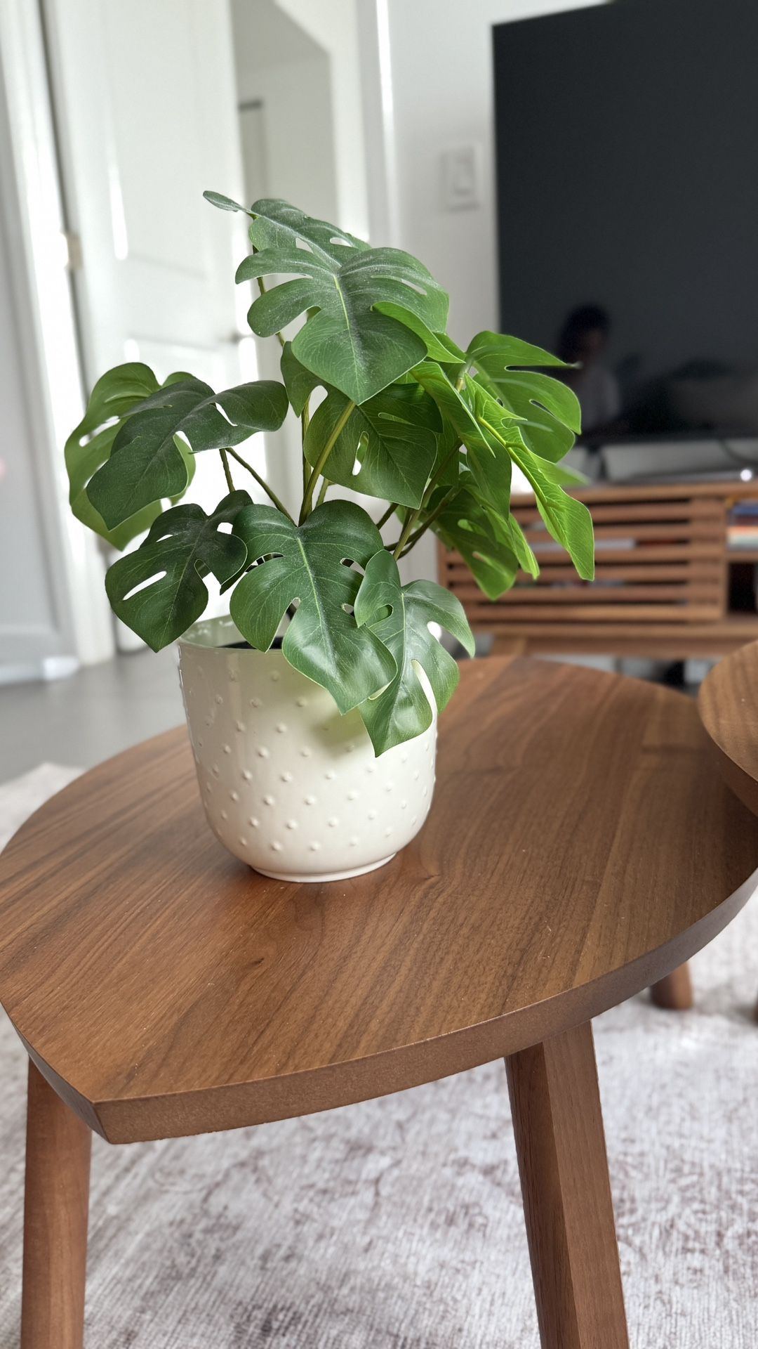 Artificial Plant With Pot