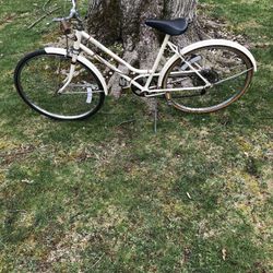 Cruiser Bike 5 Speed 