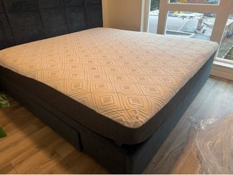 Free King Sealy Mattress