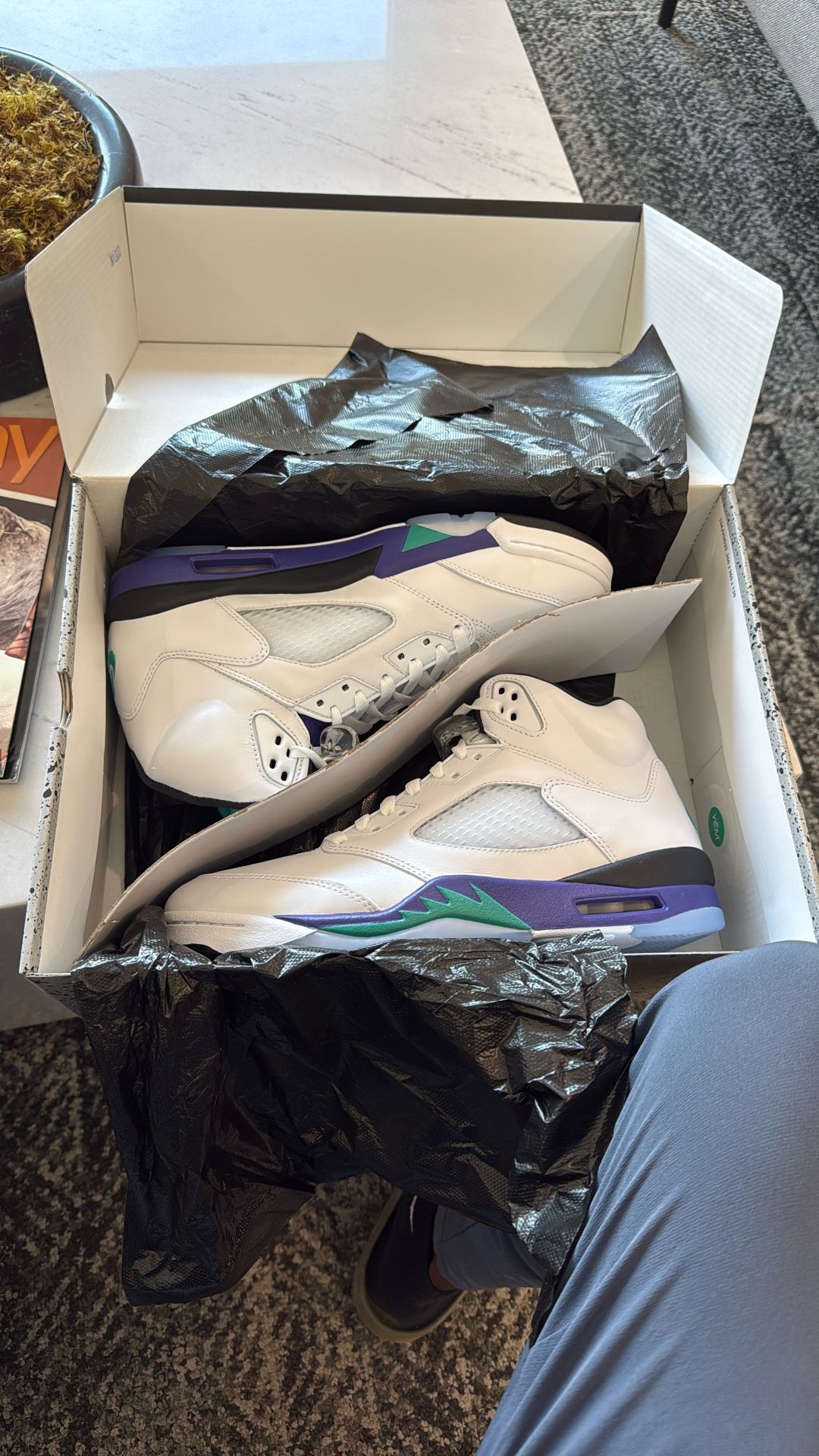 Jordan Retro 5 Grape