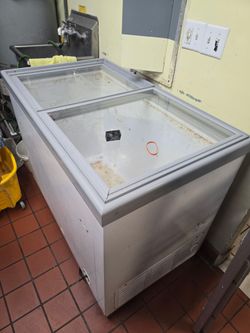 Free Large Freezer