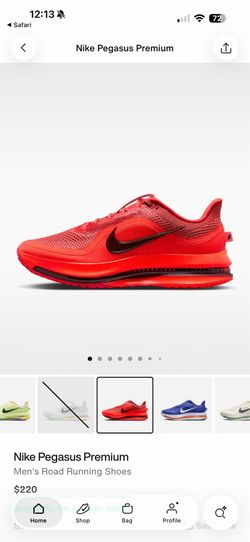 Nike Pegasus Premium
