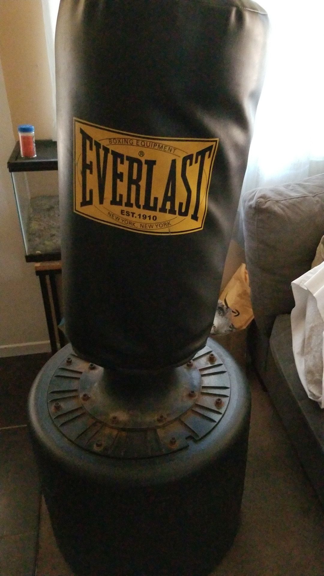 Free Everlast punching bag