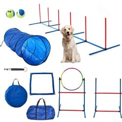 Dog Exercise Equipment: How it Works and When to Use It