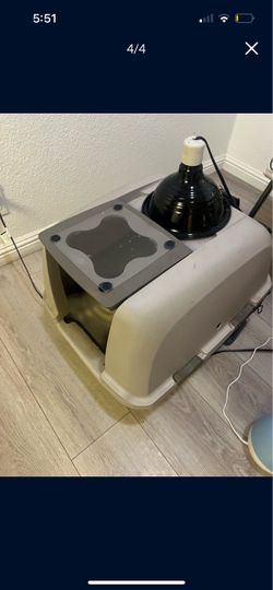 $50 incubator