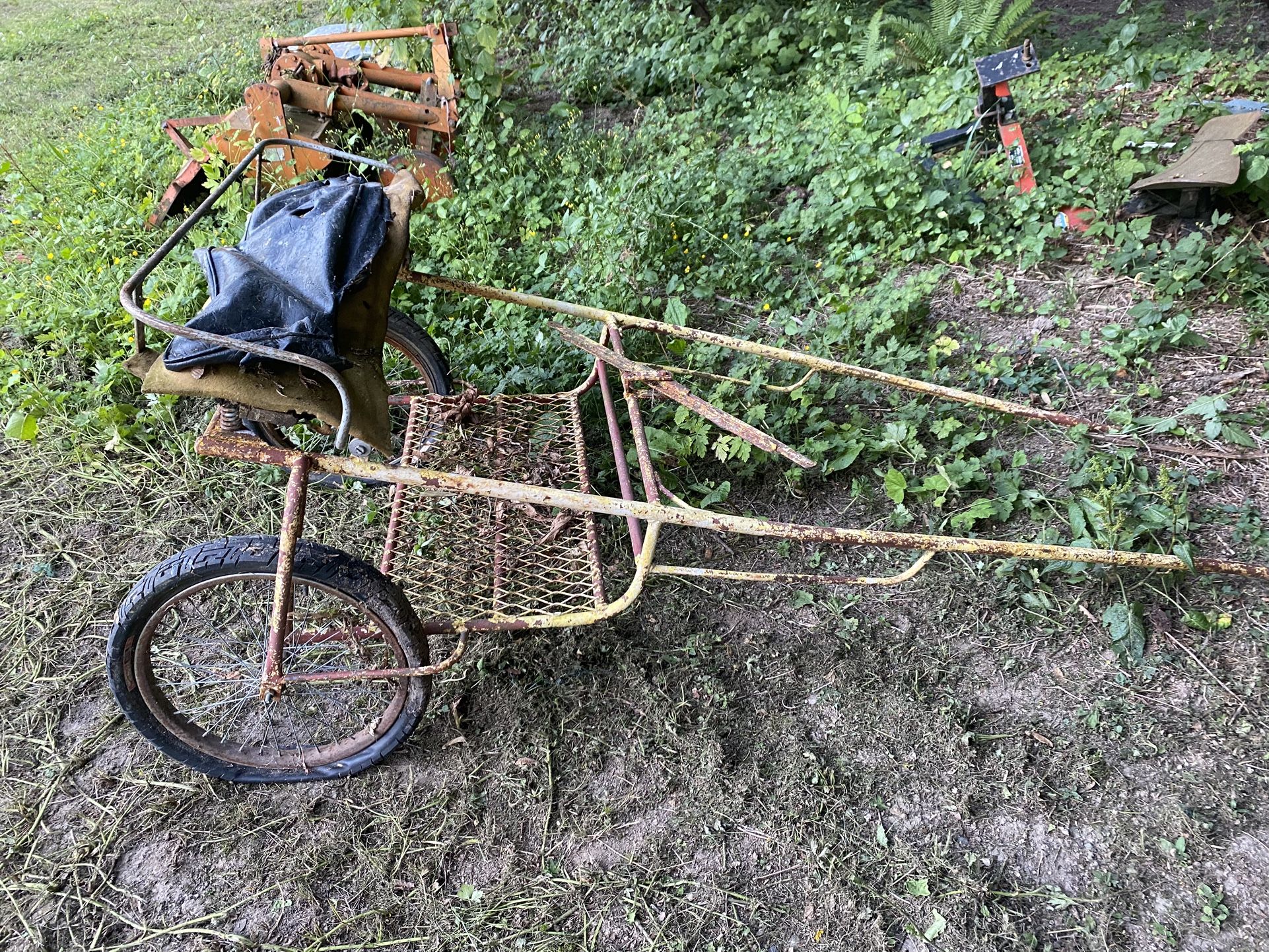 Horse Buggy