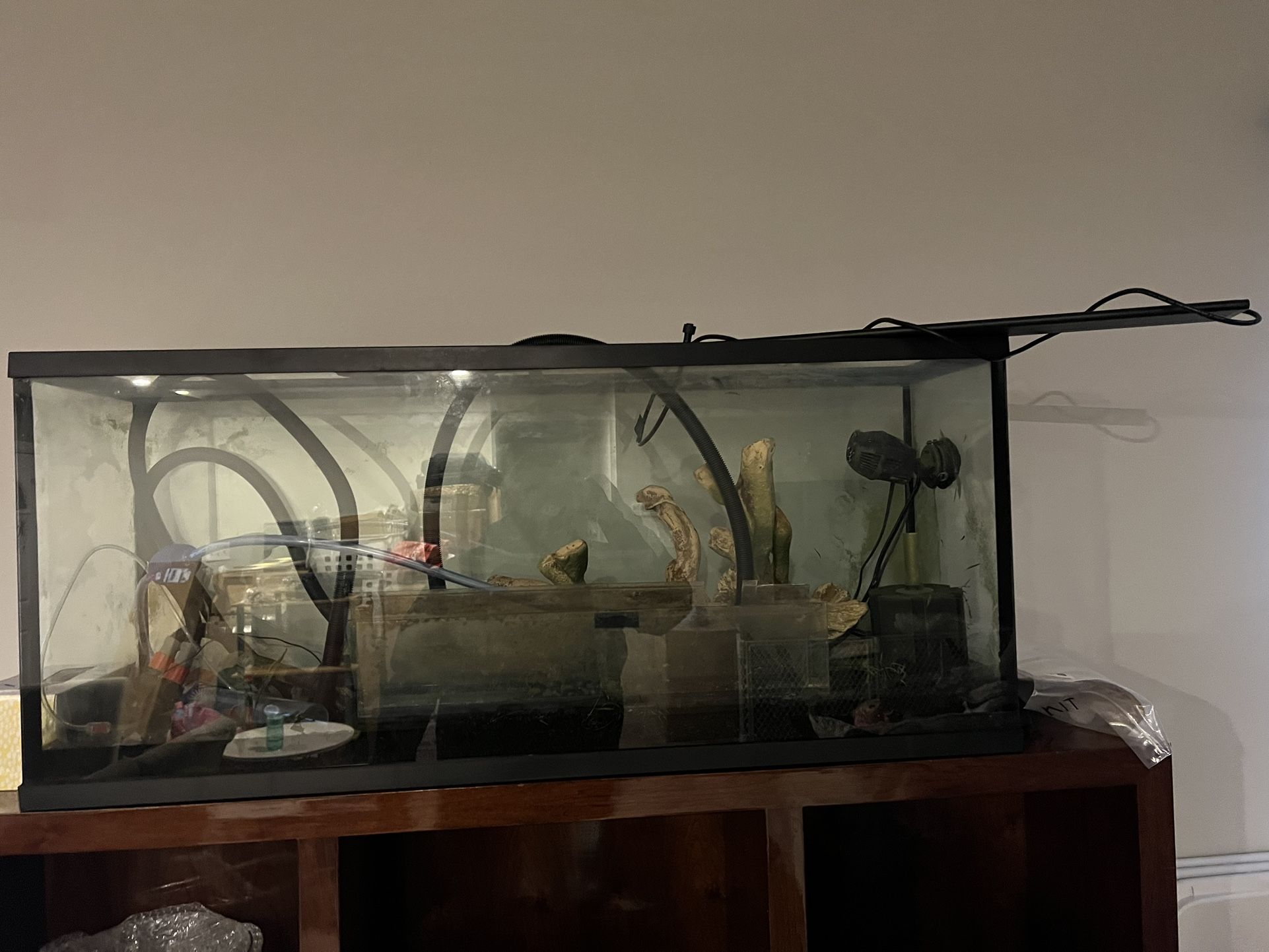 50 Gallon Fish Tank 