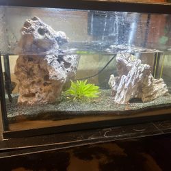 Fish Tank Accessories