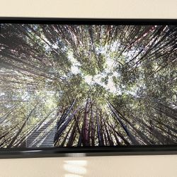 He Metal Print
