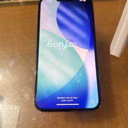 iPhone  Pro Max 13   512 Gb