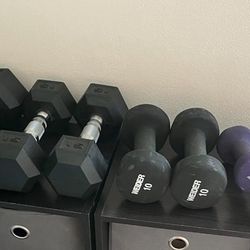 Workout Equipment - Dumbbells 