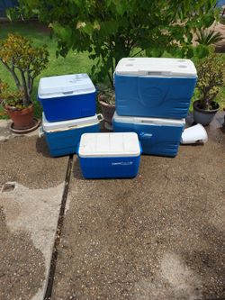 Assorted ice  chests
