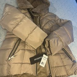 Bebe Hoodie Jacket 