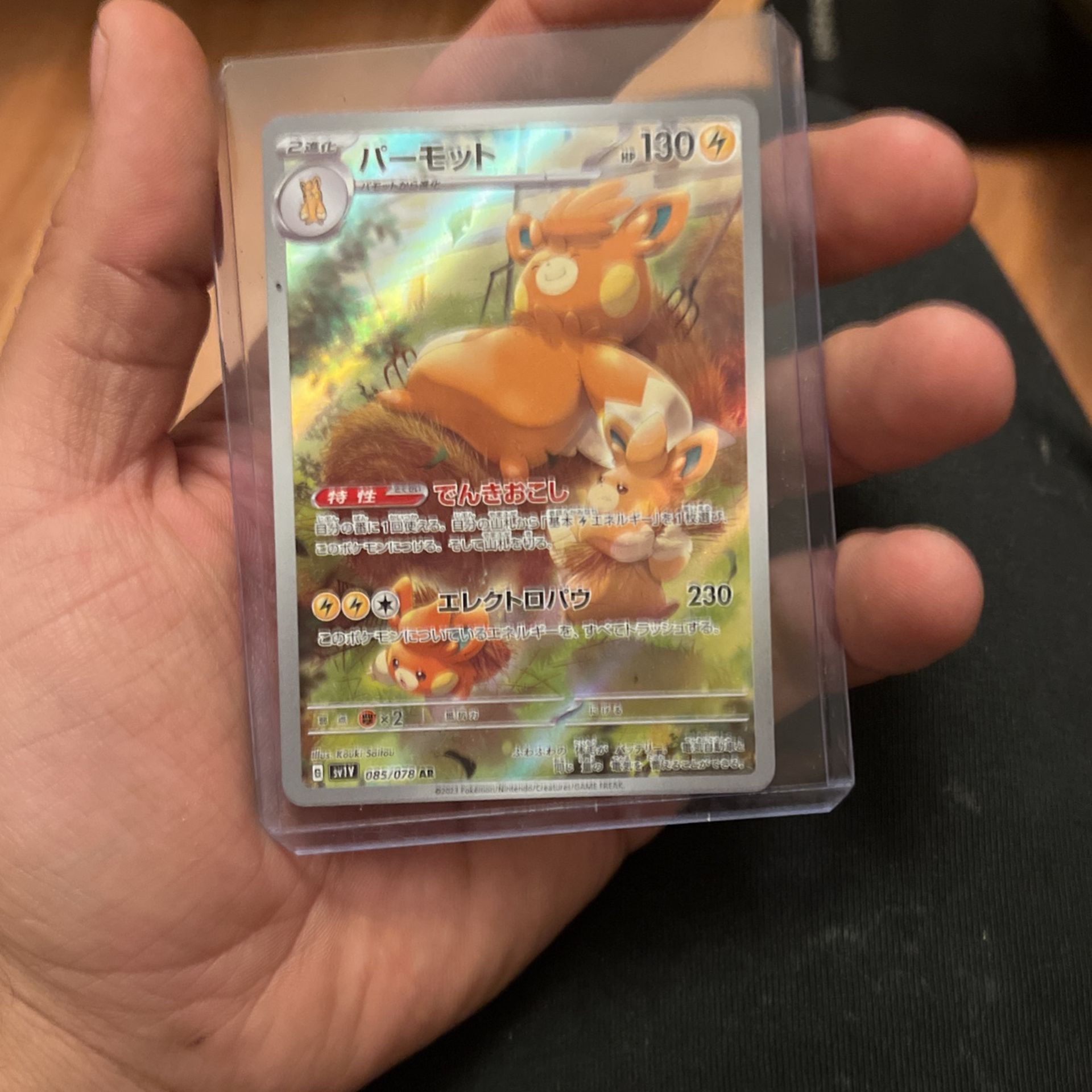 pokemon GOTTA CATCH EM ALL