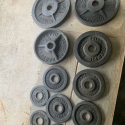 160  Lbs Olympic Weights Plates And 45 Lbs Barbell 
