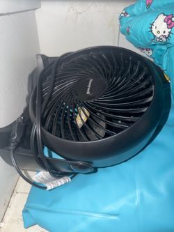 Fan