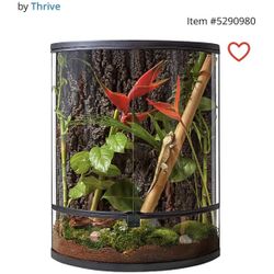 Crescent Shaped 20 Gallon Terrarium 