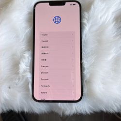 iPhone 13 Pro Max 256 Gb