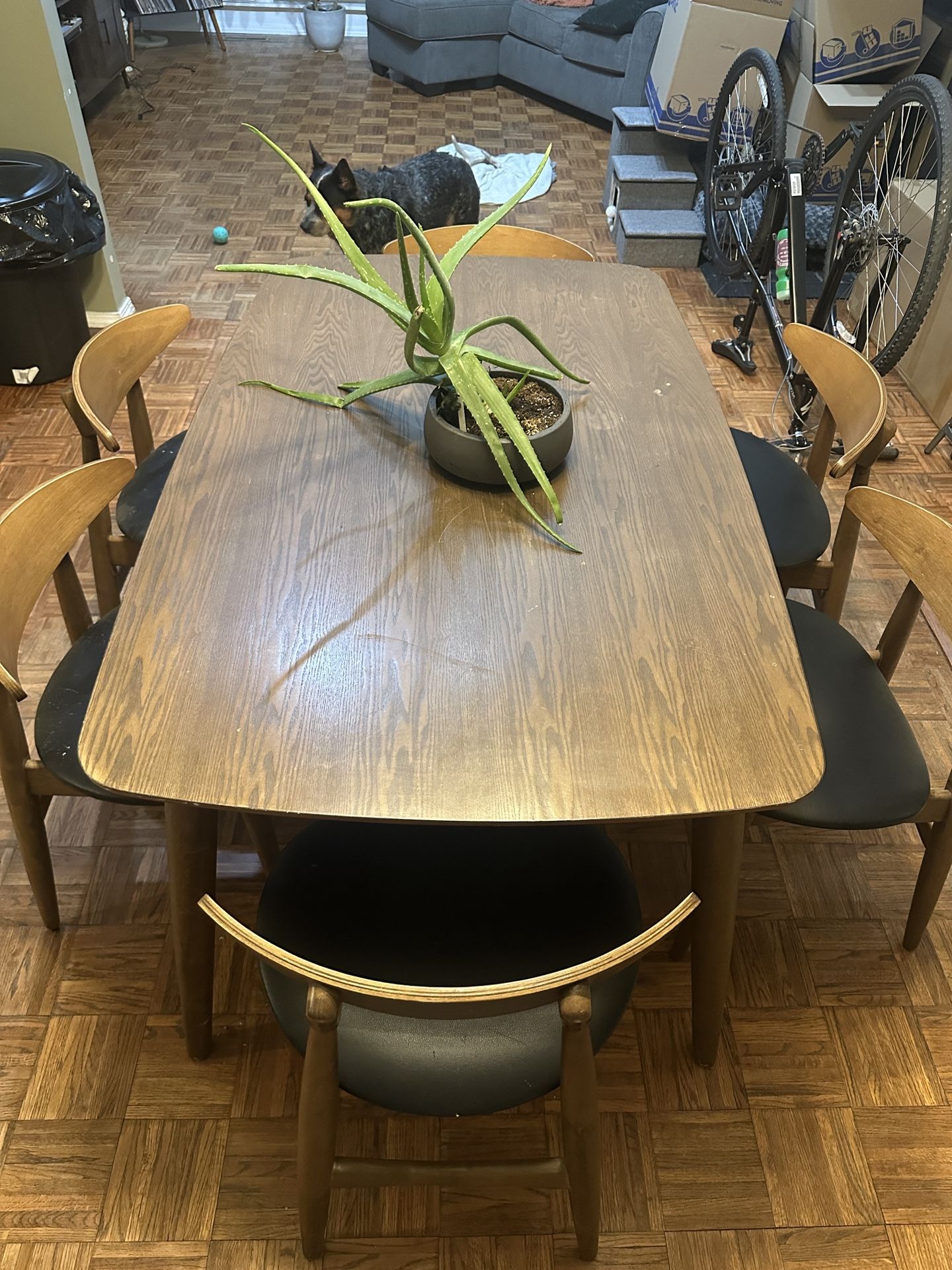 Free Table & 6 Chairs 