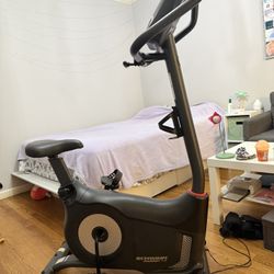 Schwinn Upright Electric Bike