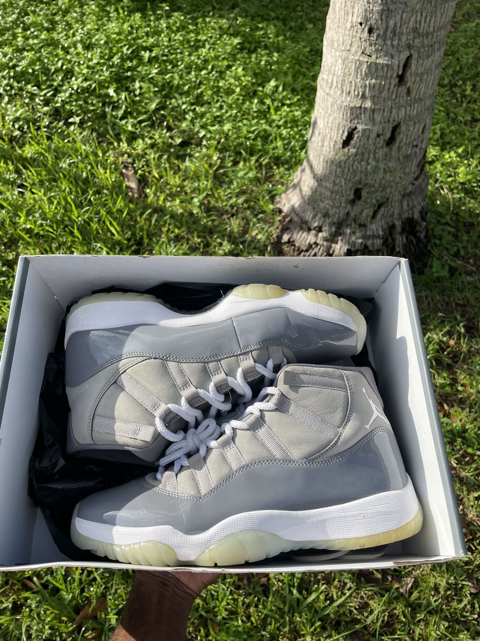 Cool Greys 11s Size 9.5