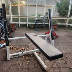 Cybex 5000 series weight bench