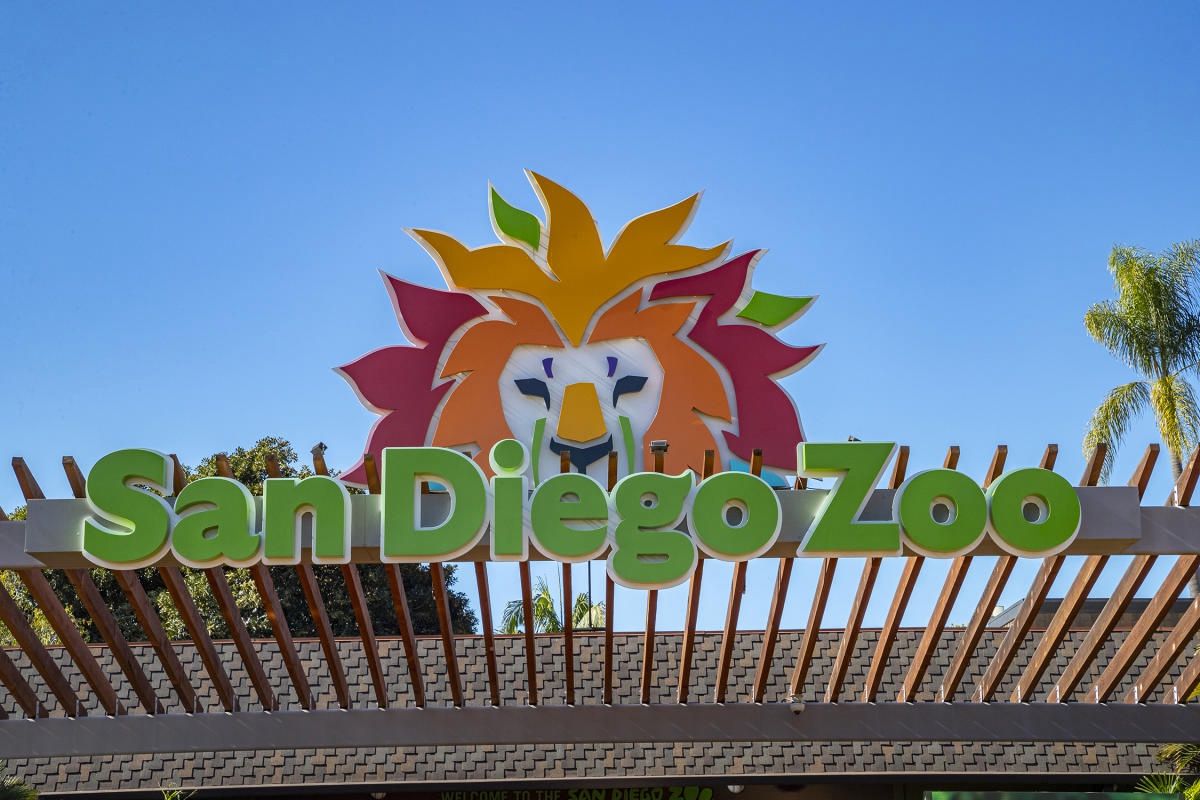 San Diego Zoo/San Diego Zoo Safari Park Tickets