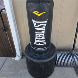 Ever Last Power Core