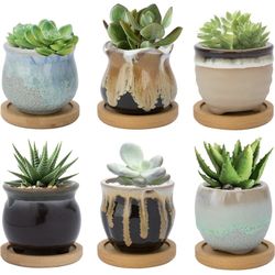 Warmplus Small Succulent Plant Pots - Mini Ceramic Cactus Planter Pots with Drainage, Home, Pack of 4 (Plants Not Included)