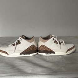 Jordan 3 Retro Limited Edition Fall Color
