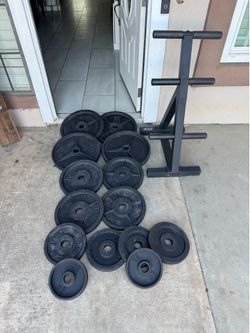 Olympic weights 440lbs total plus weights tree