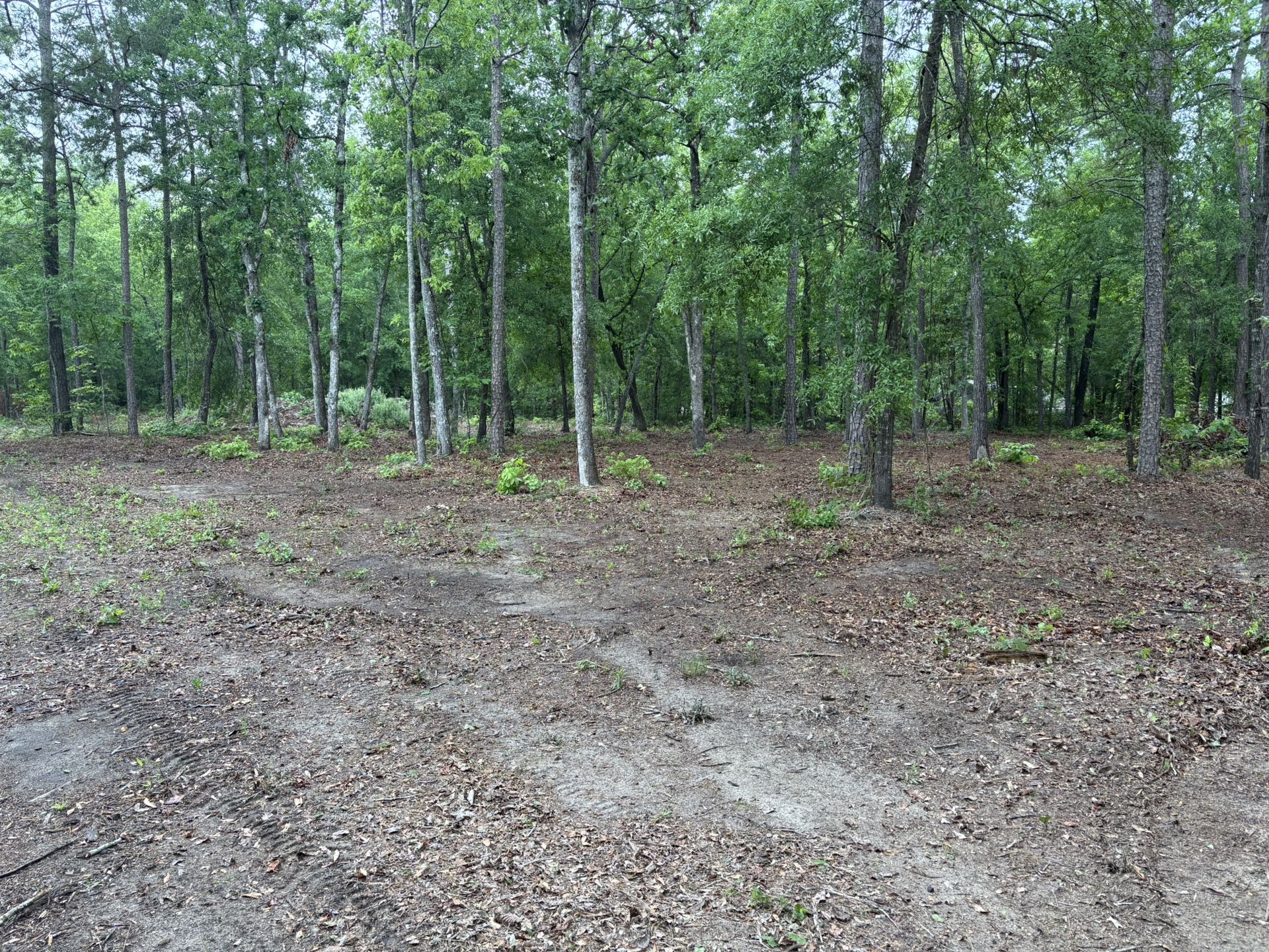 Bushog And Tractor Work Available