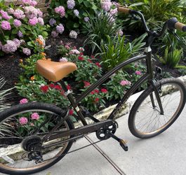 1 Men’s Brown Townie Bike (Map 1st)