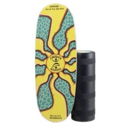 $100 INDO Balance Board (Mini Pro)