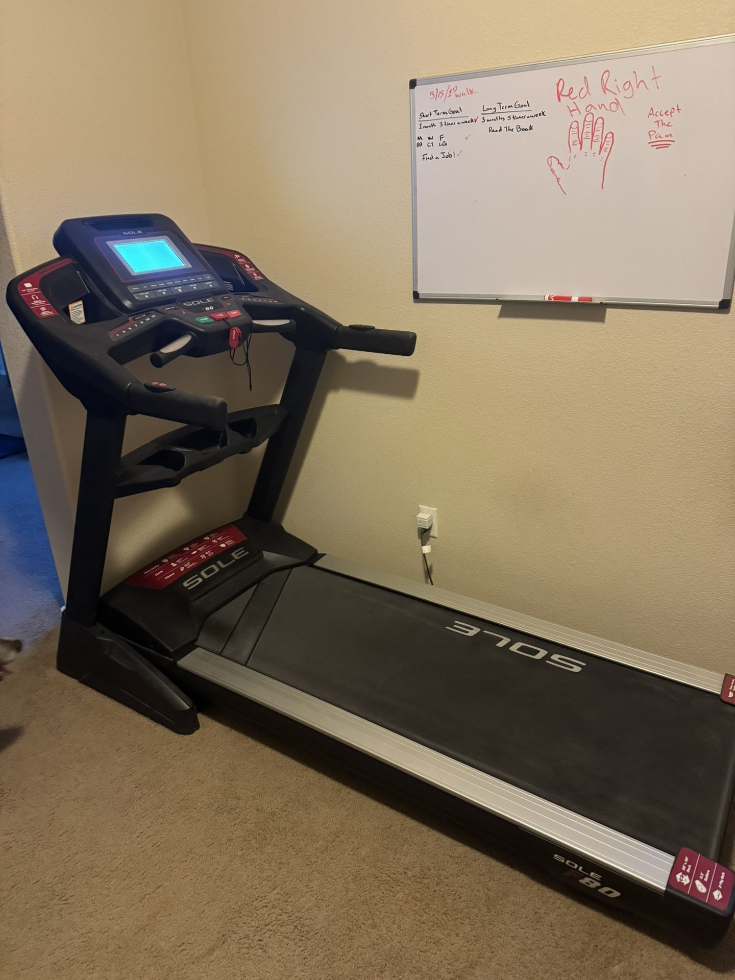 Treadmill (SOLE F80)