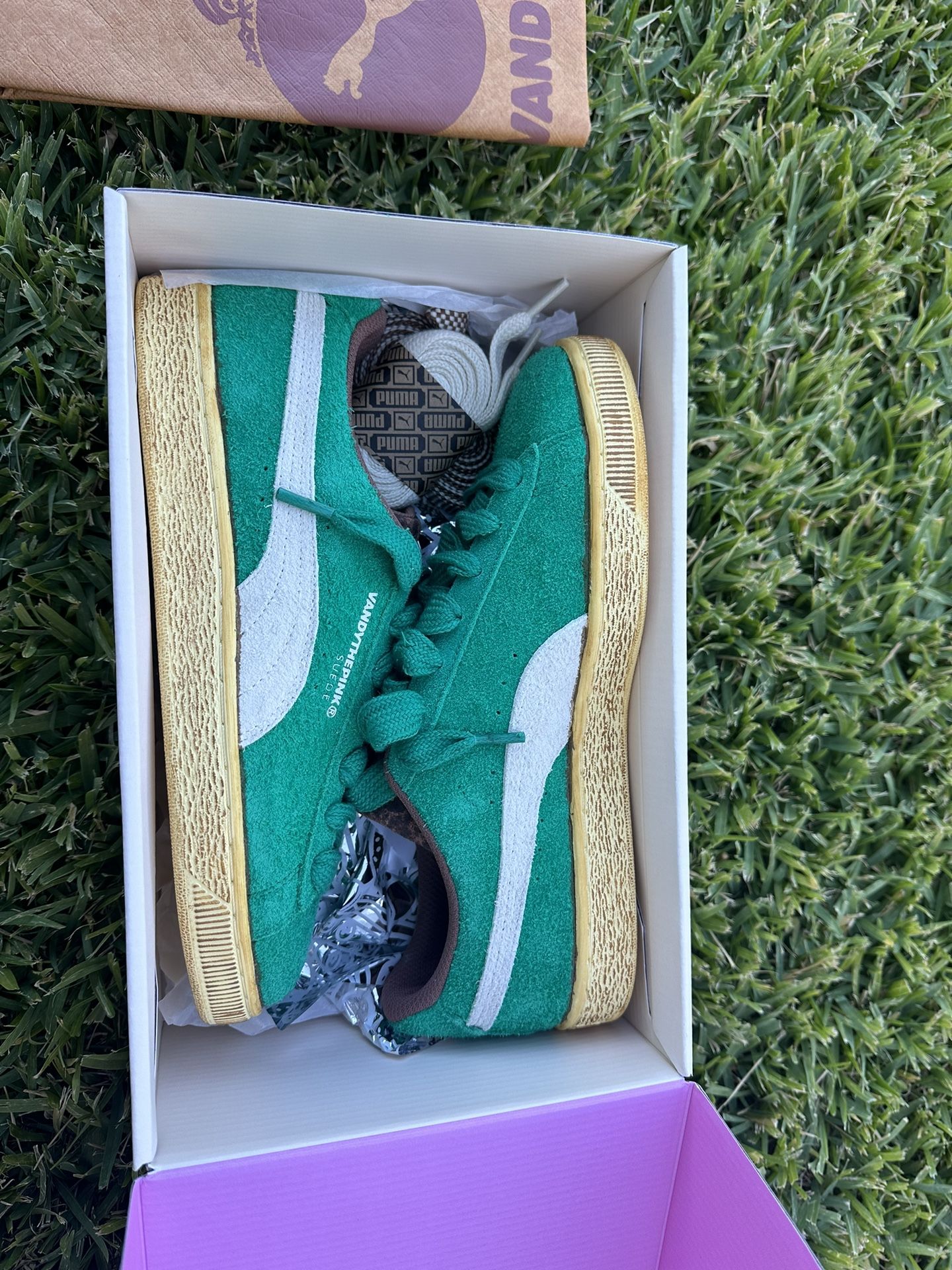 Puma VANDYTHEPINK shoes