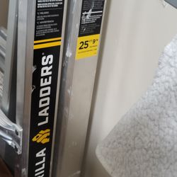 Ladder