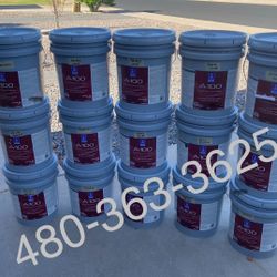 Pintura Y Material PINTURA & Paint & Supplies 