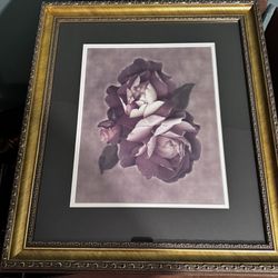 4 Framed Flower Pictures