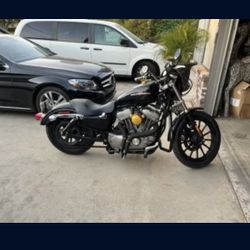 2005 Harley Davidson Sportsters