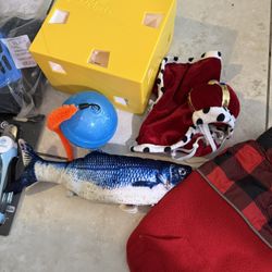 Cat Essentials Bundle – Everything You Need! 🐾